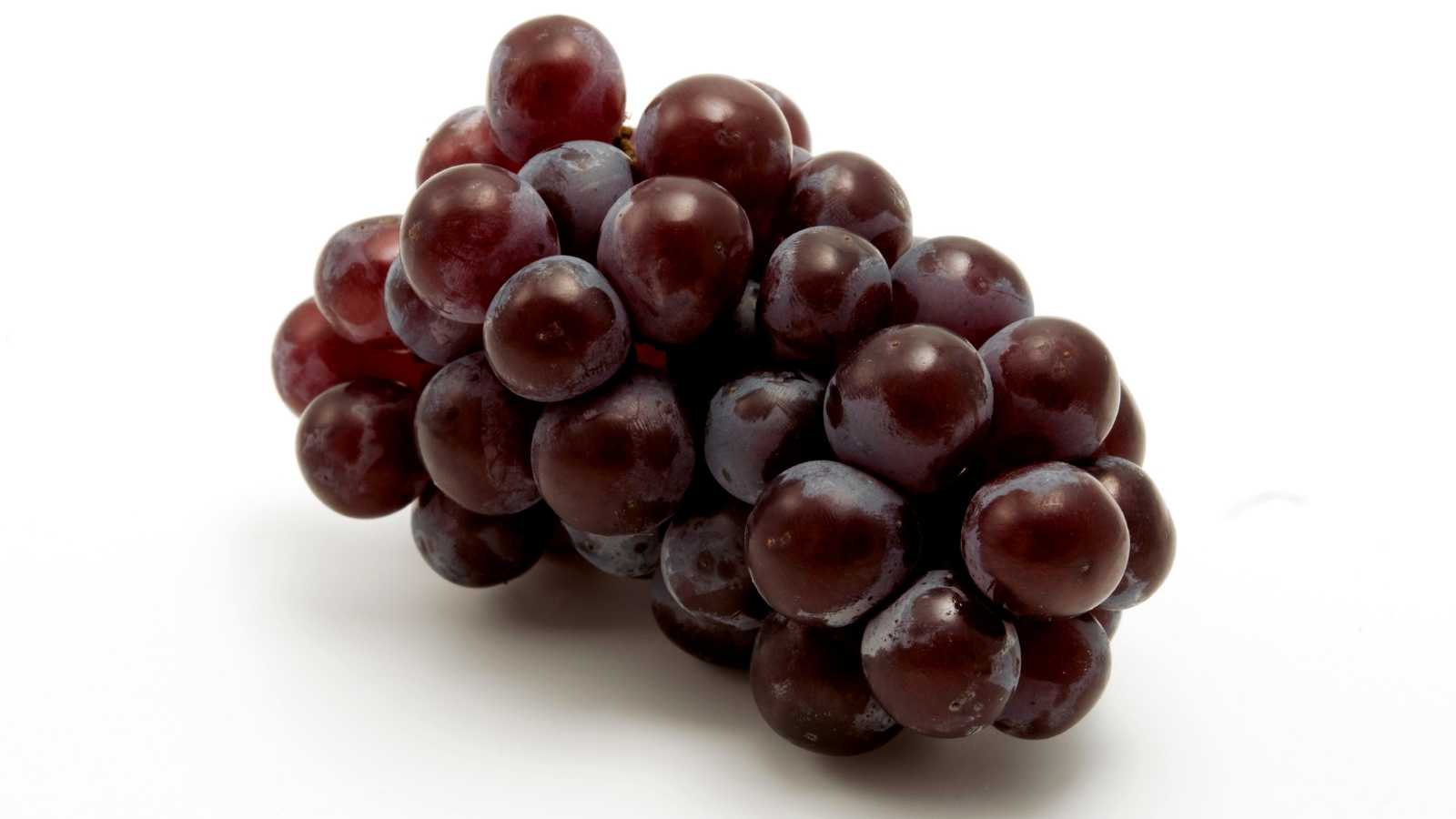uva borgoña y los vinos dulces del peru