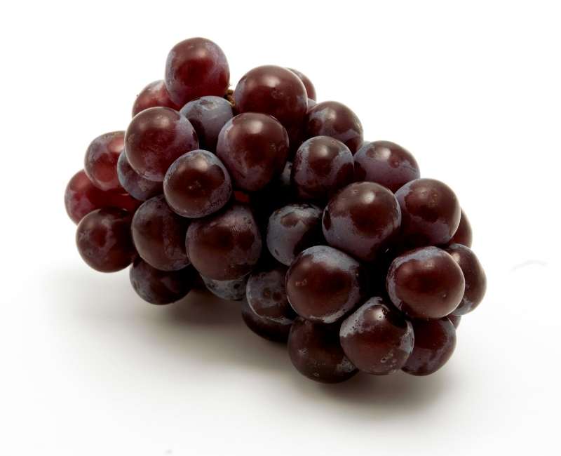 Vino Tinto Borgoña