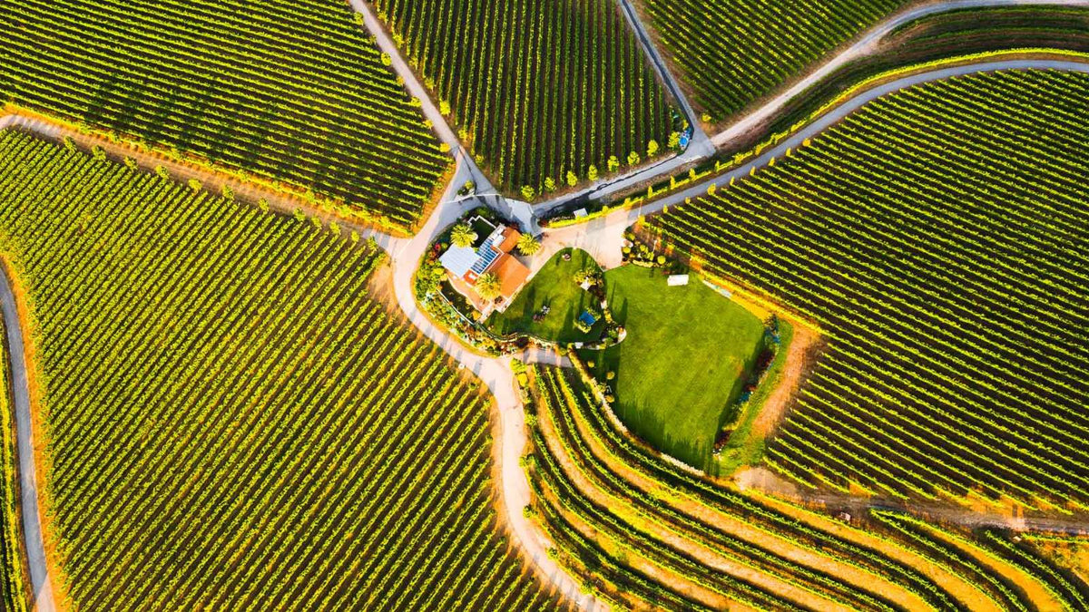 ¡Descubre el Maravilloso Albariño de Rías Baixas!