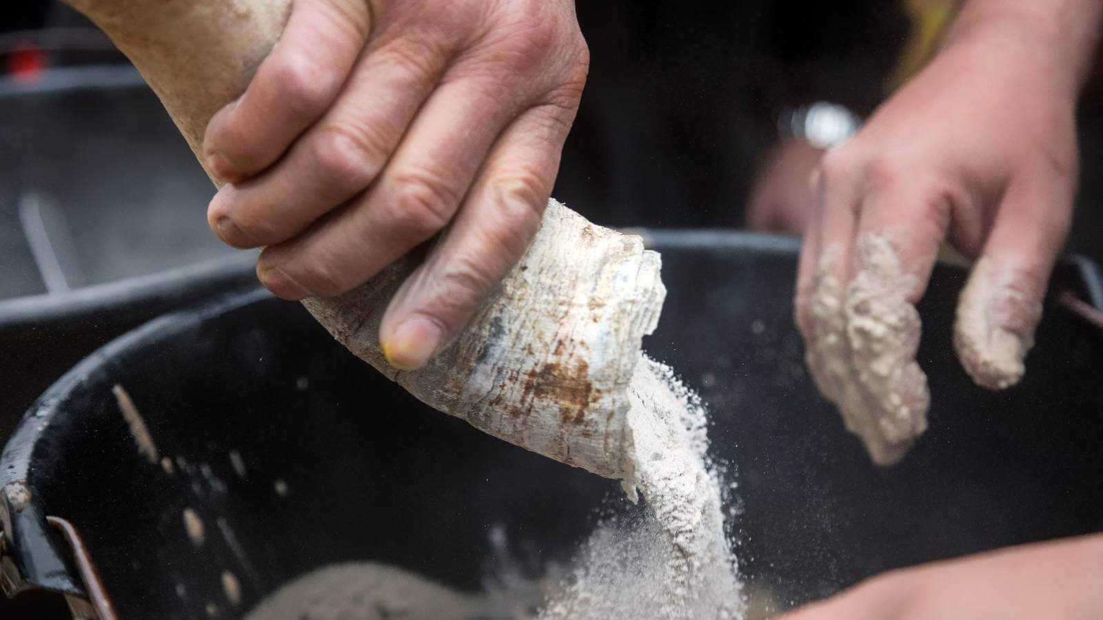 ¿Que significa vino biodinámico?