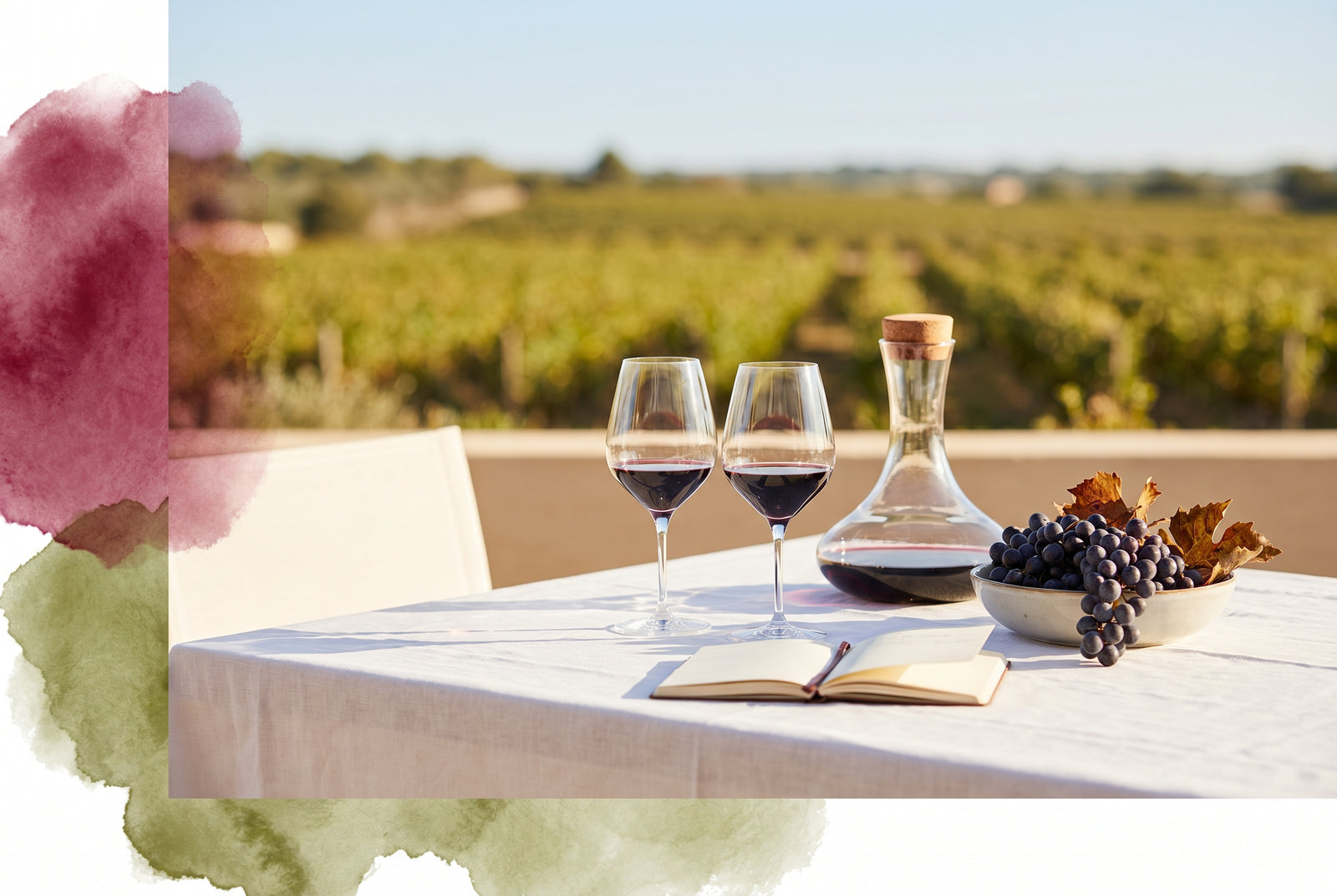 Taninos: Las partículas secretas detrás del Sabor y Evolución de tu Vino Favorito