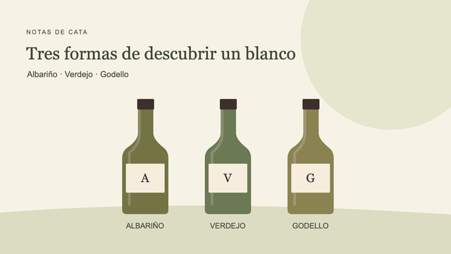 Ilustración de tres botellas de vino blanco con las iniciales A, V y G. Las botellas no representan marcas ni añadas concretas.