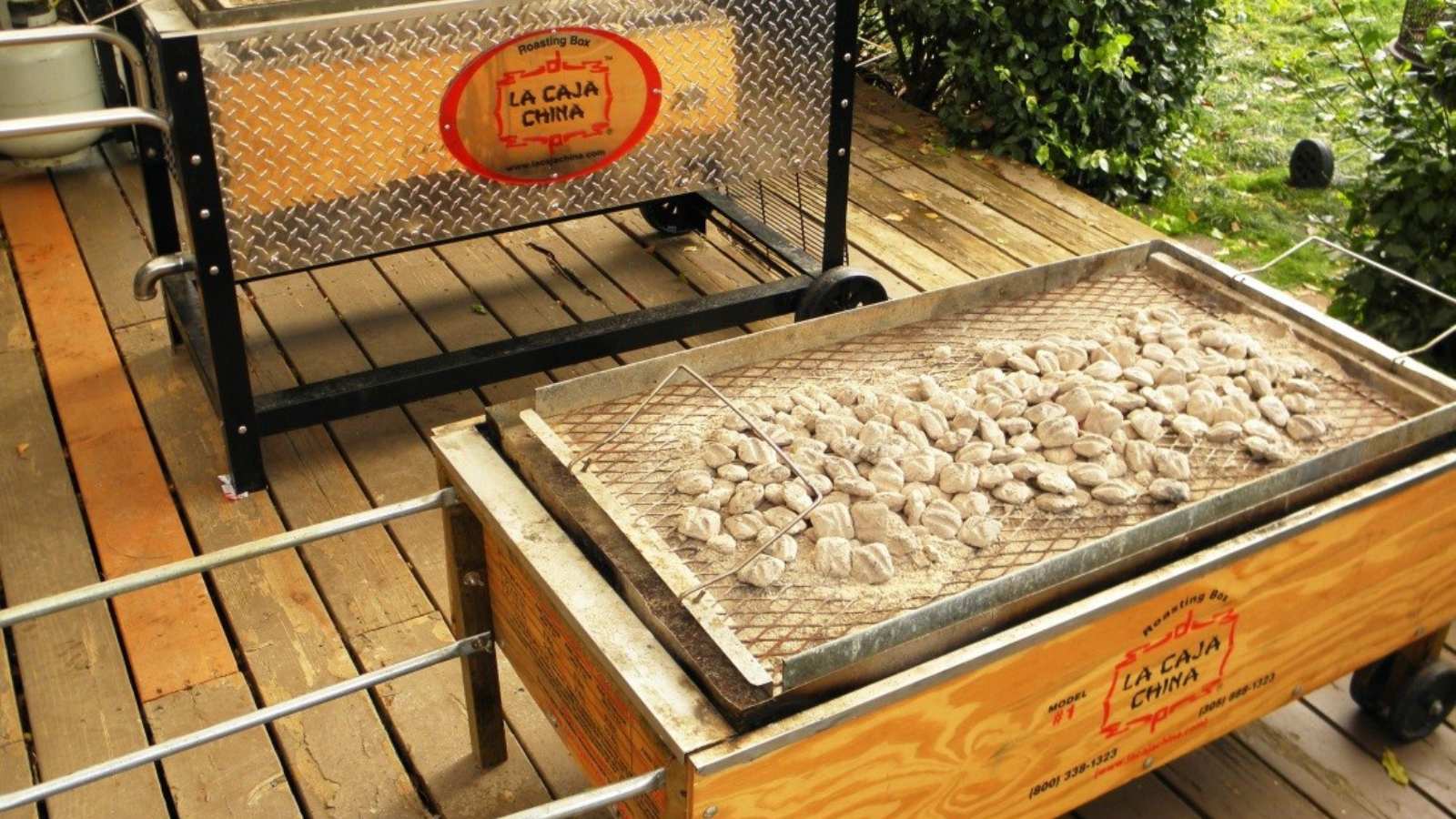 ¿Cómo elegir la Caja China perfecta? Consejos para una Compra Acertada