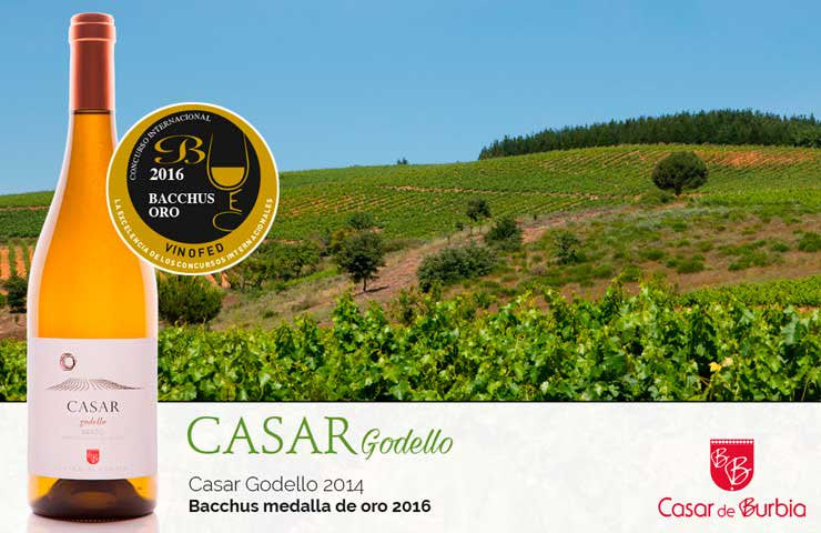 Bacchus de Oro para Casar Godello
