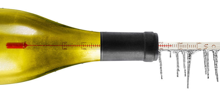 A que temperatura beber los vinos?