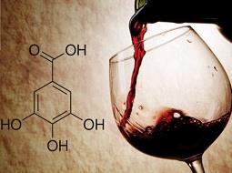 ¿Qué son los taninos?