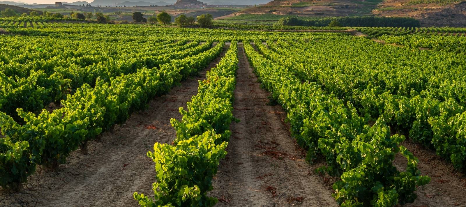 Finca la Estacada