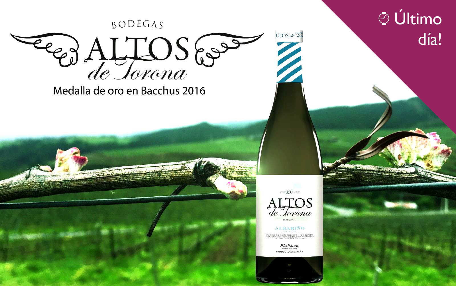 Altos de Torona