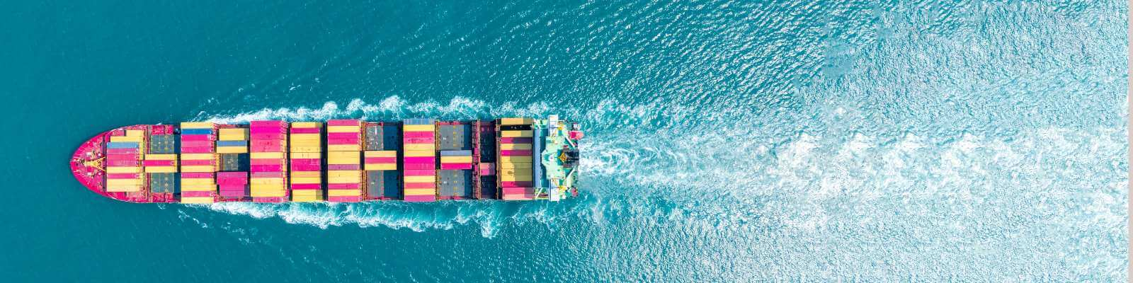 6 vinos españoles en una mesa rodeados de pan y queso