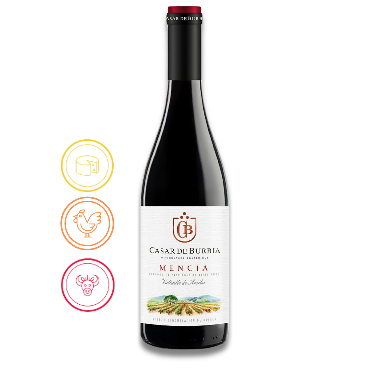 Casar de Burbia Mencía , Bierzo - 2018