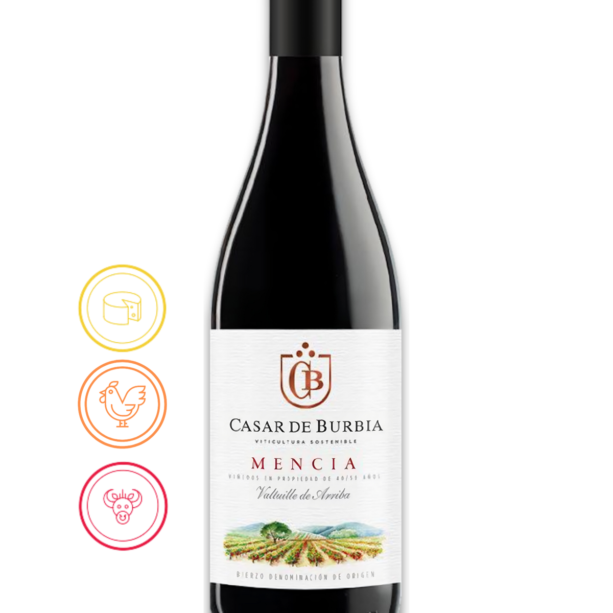 Casar de Burbia Mencía , Bierzo - 2018