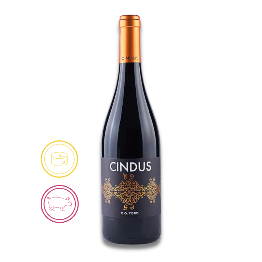 Cindus 2020