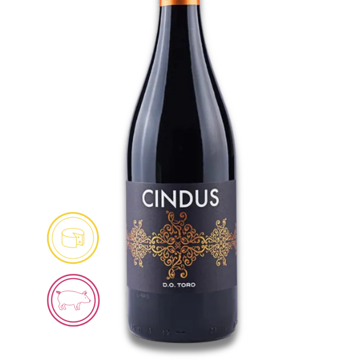 Cindus