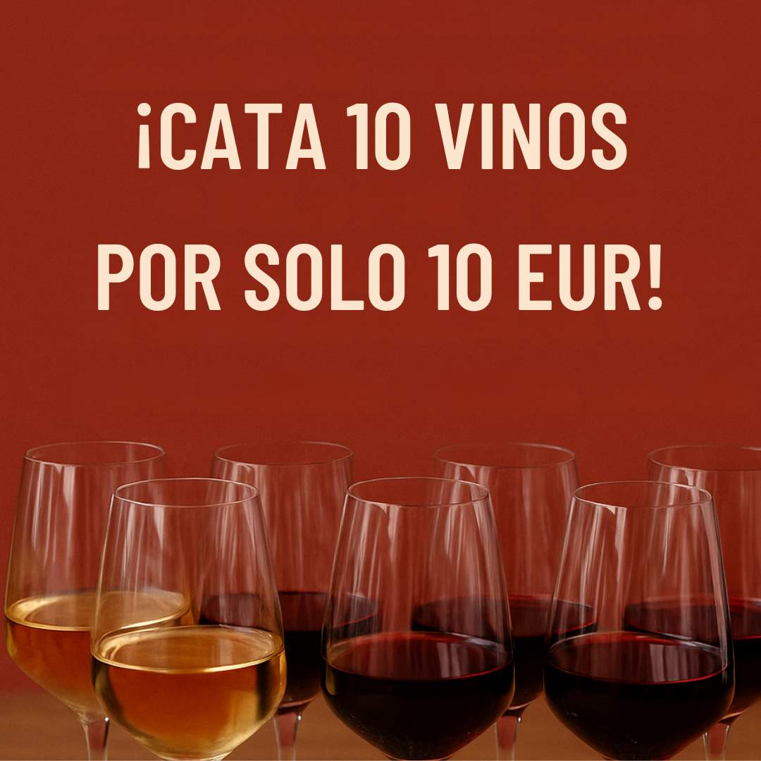 🍷 ¡CATA 10 VINOS POR SOLO 10 EUR! 🍷