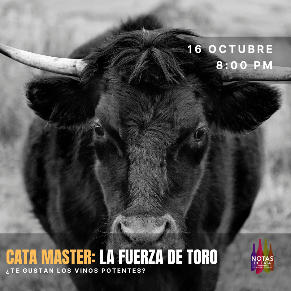 Cata Máster:  Toro