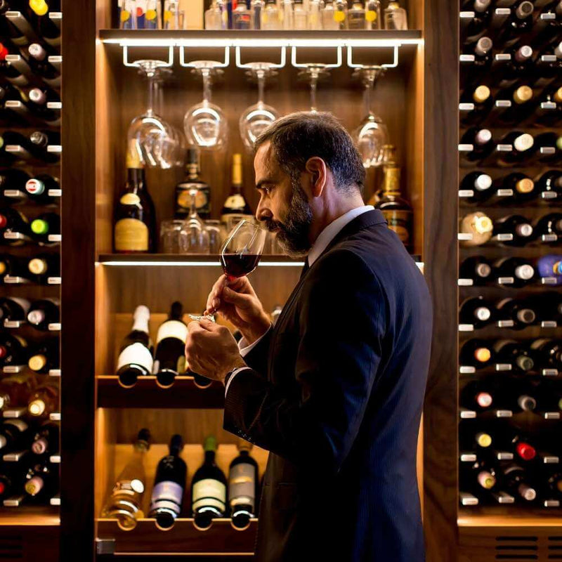 ¿Qué tipos de vinos tintos existen?