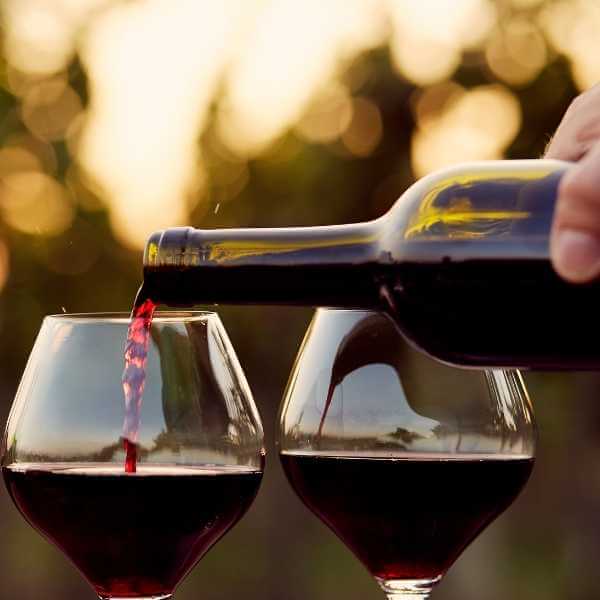 No te pierdas nuestra tienda de vinos tintos